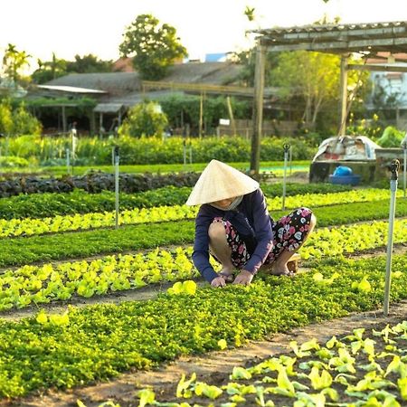 Hoi An Cabbage Garden Daire Dış mekan fotoğraf