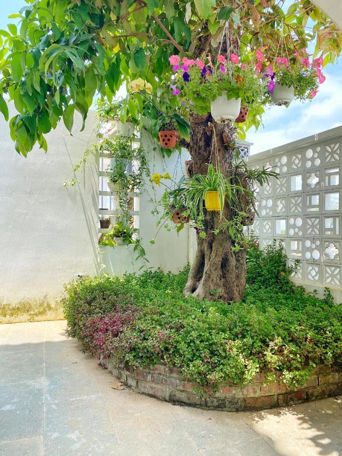 Hoi An Cabbage Garden Daire Dış mekan fotoğraf